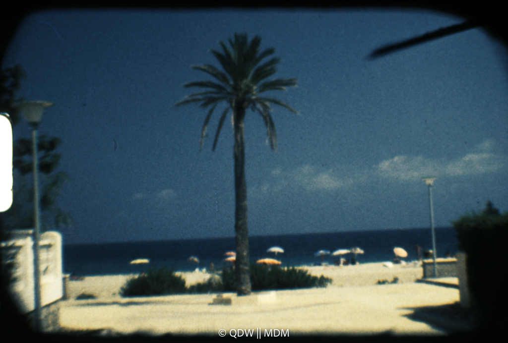 Frame 0022