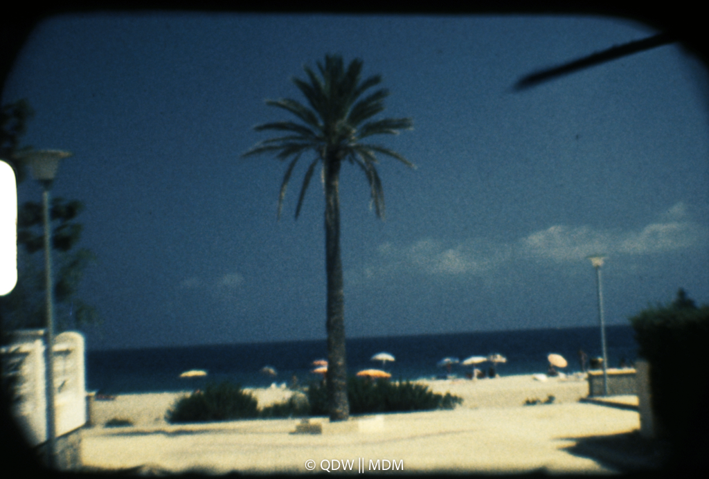 Frame 0023