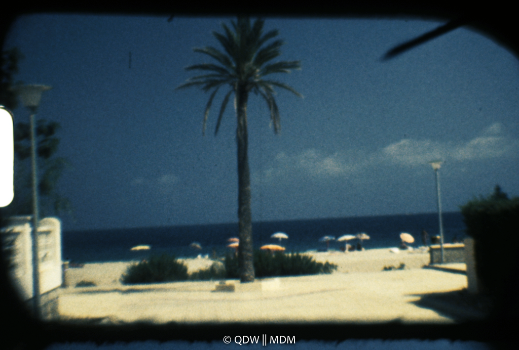 Frame 0028