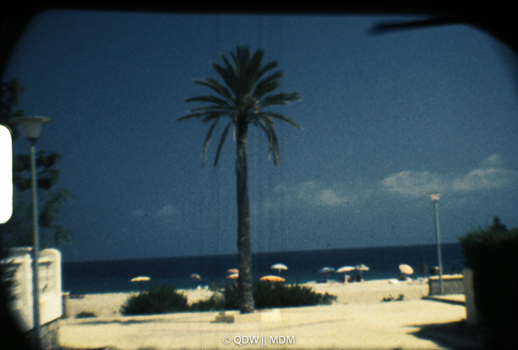 Frame 0032