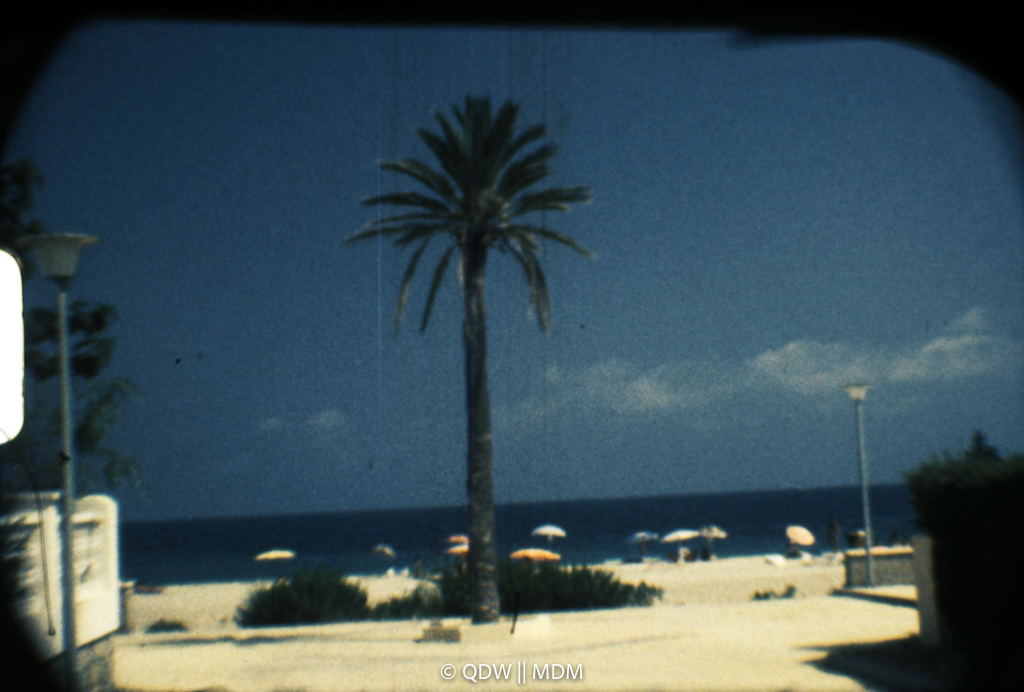 Frame 0033