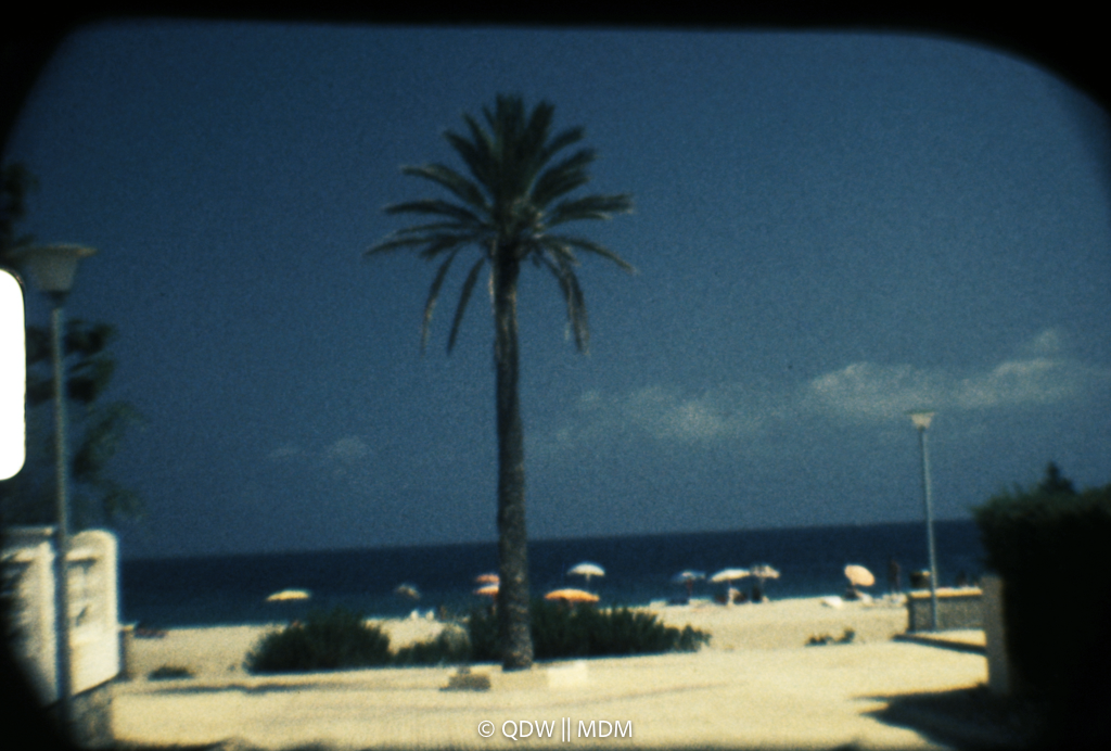Frame 0039