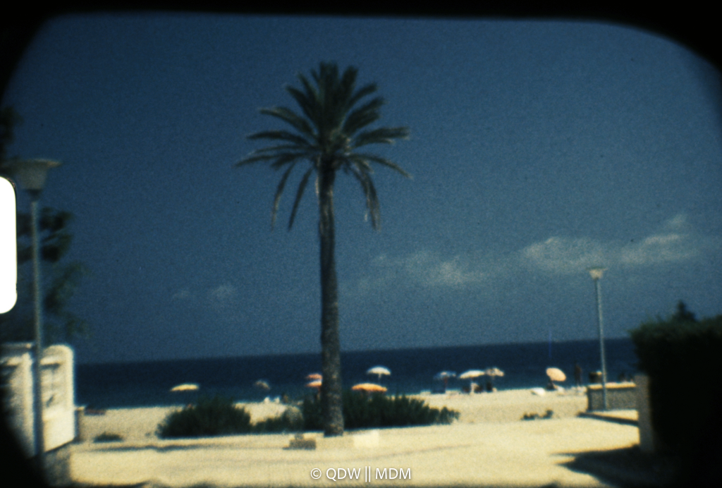 Frame 0040