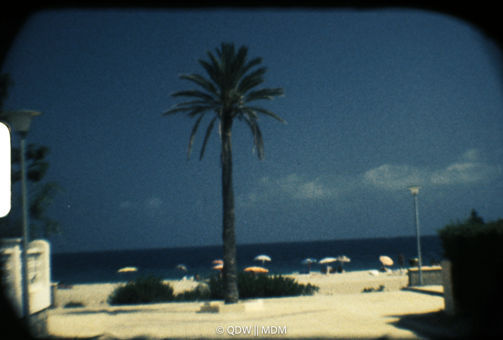 Frame 0042