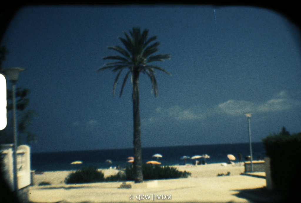 Frame 0044