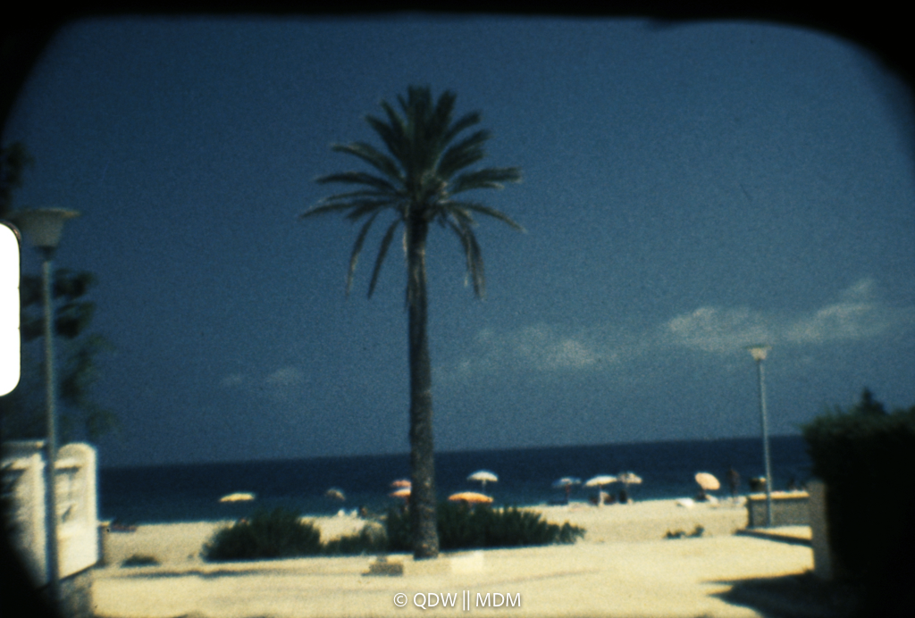 Frame 0046