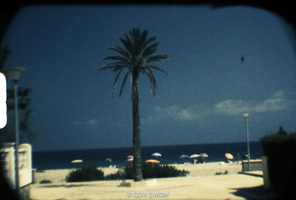 Frame 0048