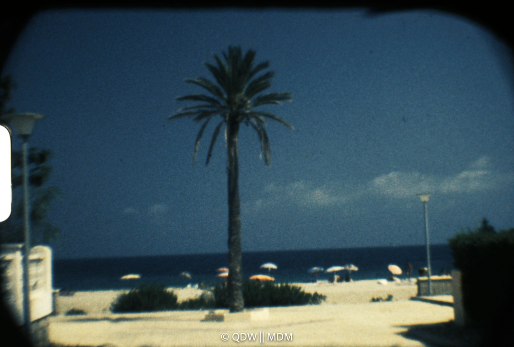 Frame 0061