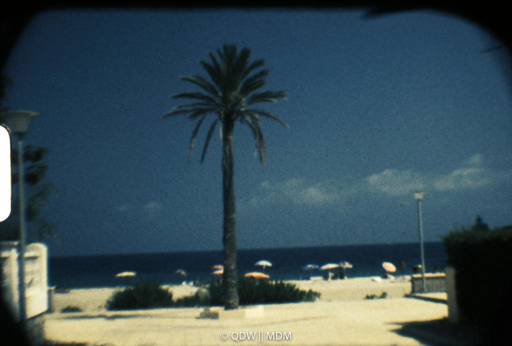 Frame 0066