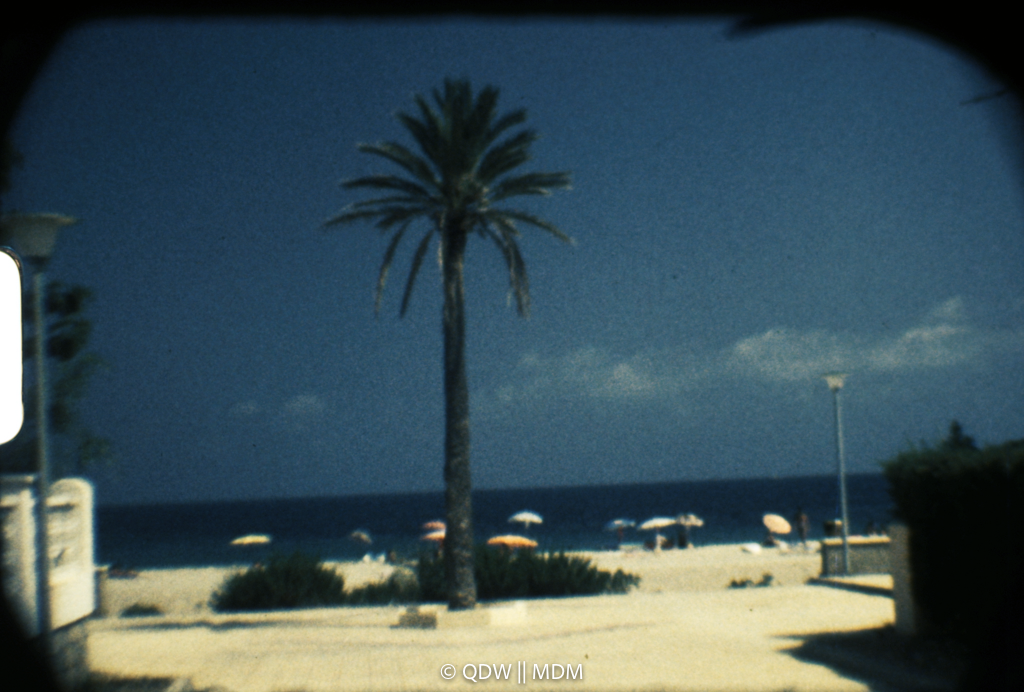 Frame 0073