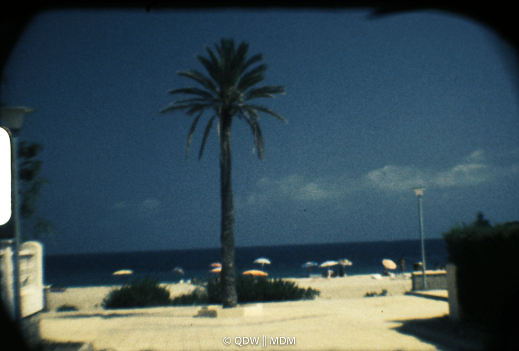 Frame 0076