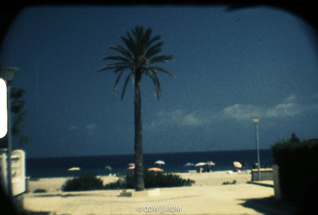Frame 0084