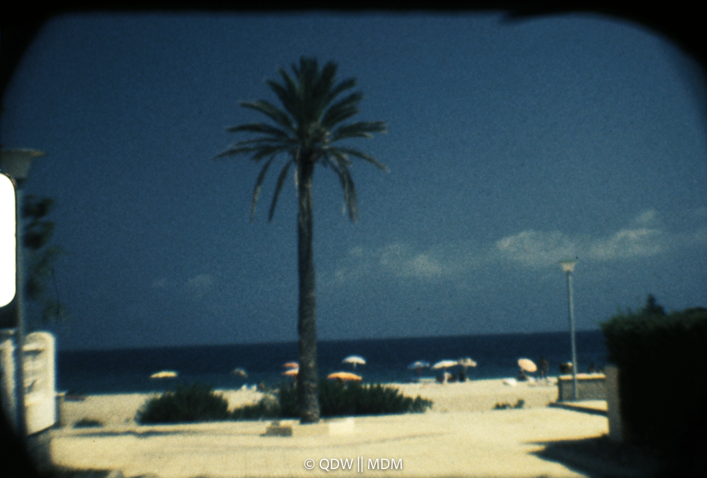 Frame 0086