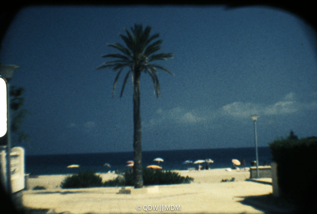 Frame 0089