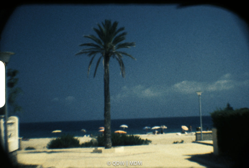 Frame 0092