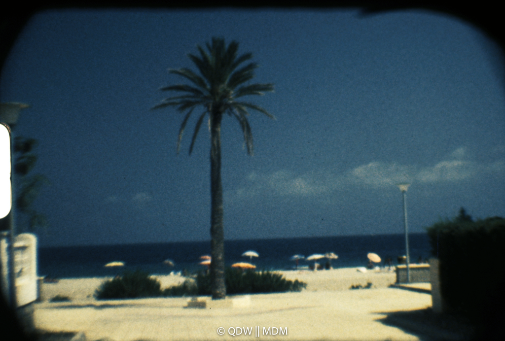 Frame 0104