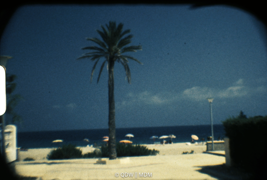 Frame 0109