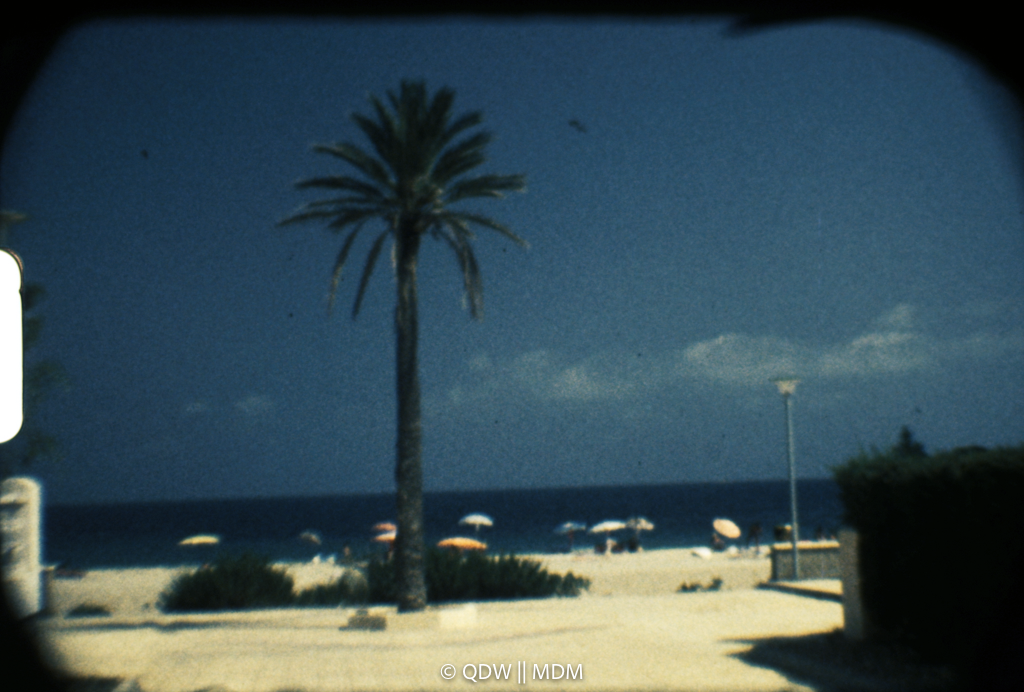 Frame 0115