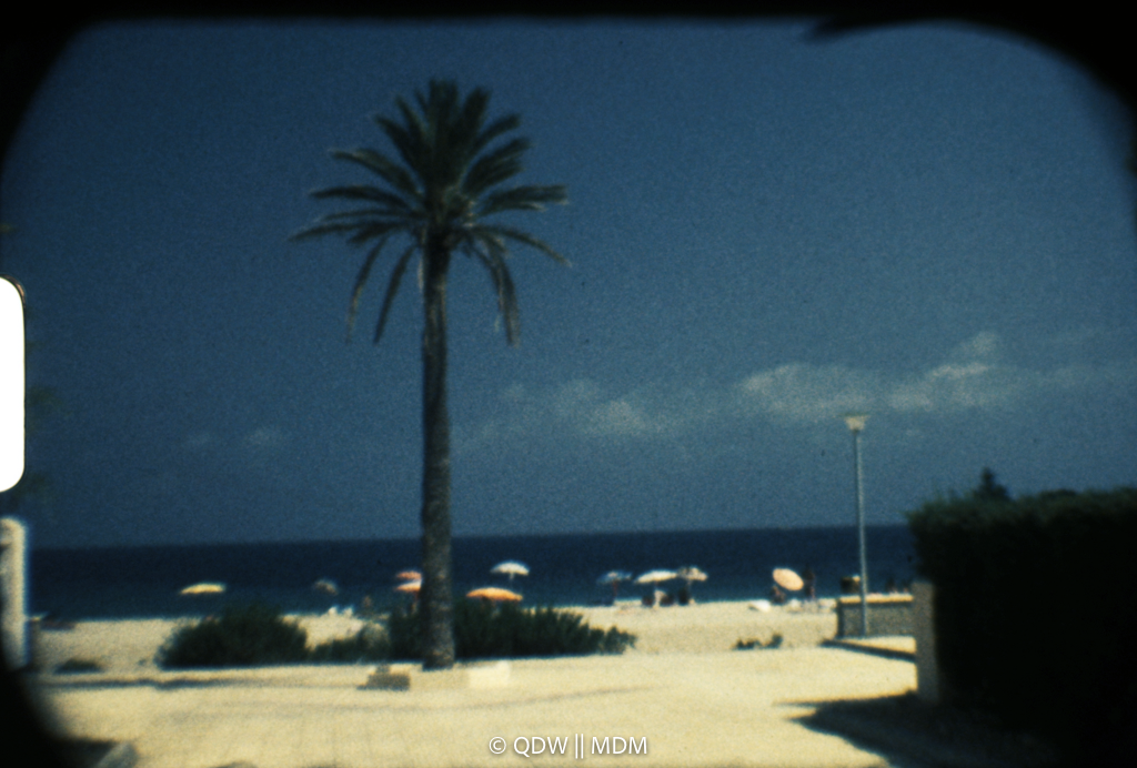 Frame 0125