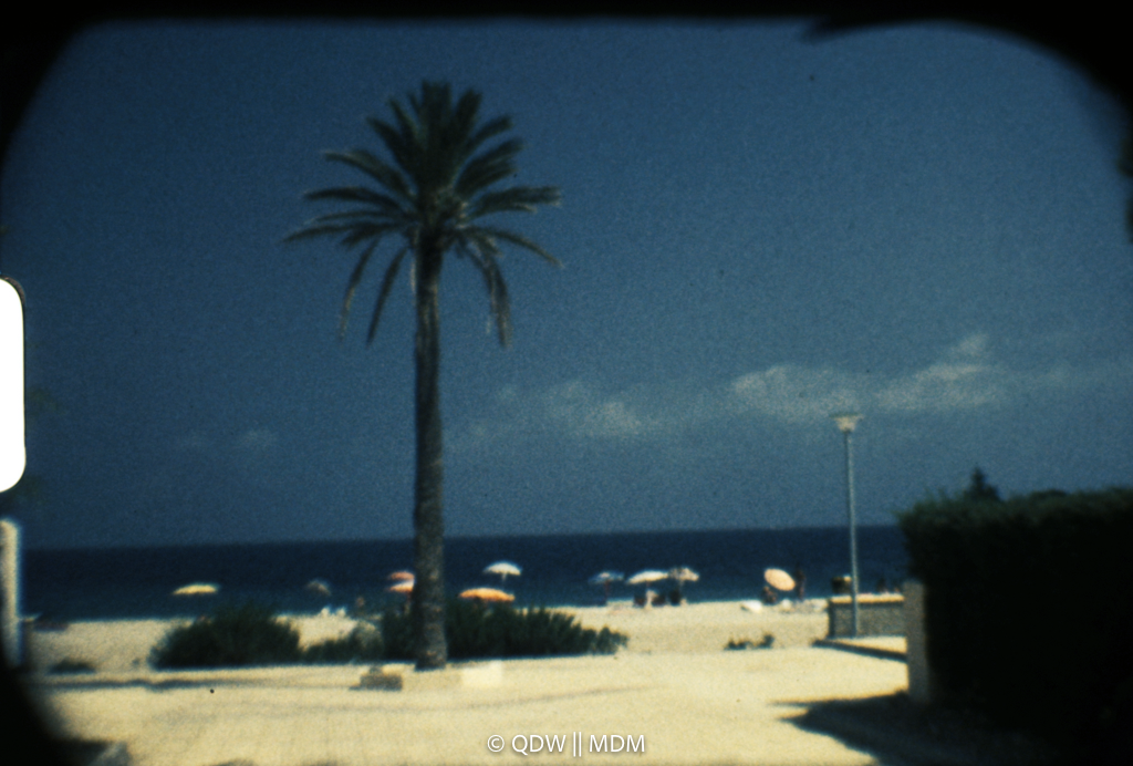 Frame 0127