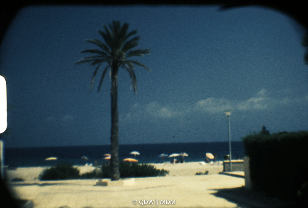 Frame 0131