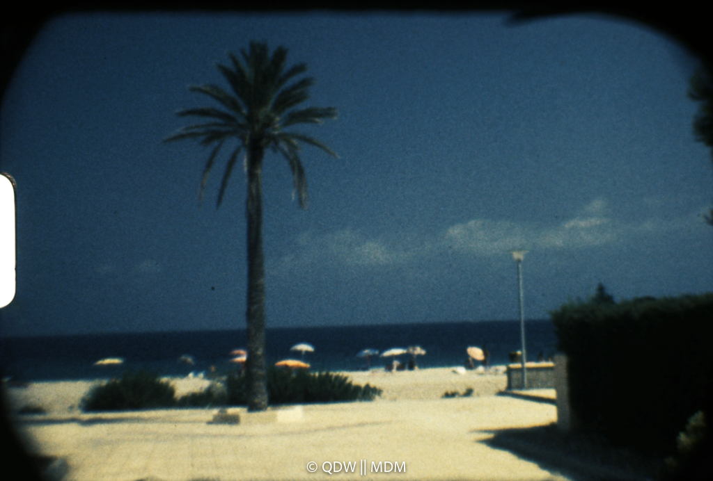 Frame 0137