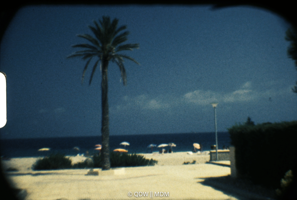 Frame 0139