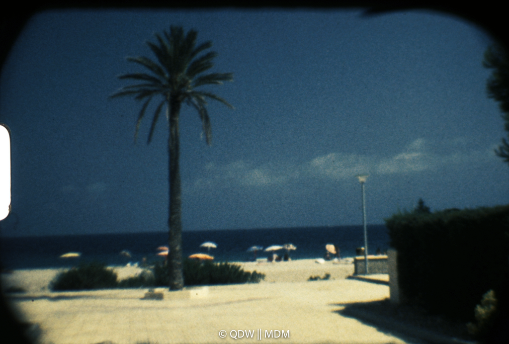 Frame 0144
