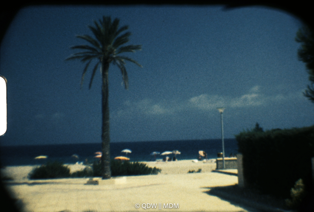 Frame 0146