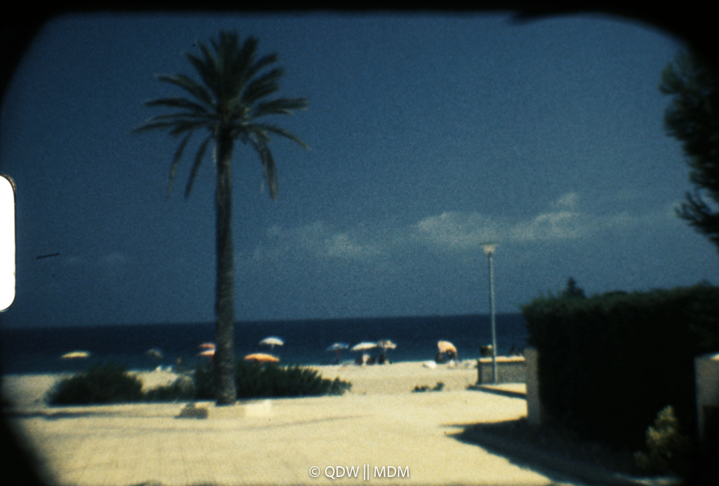 Frame 0155