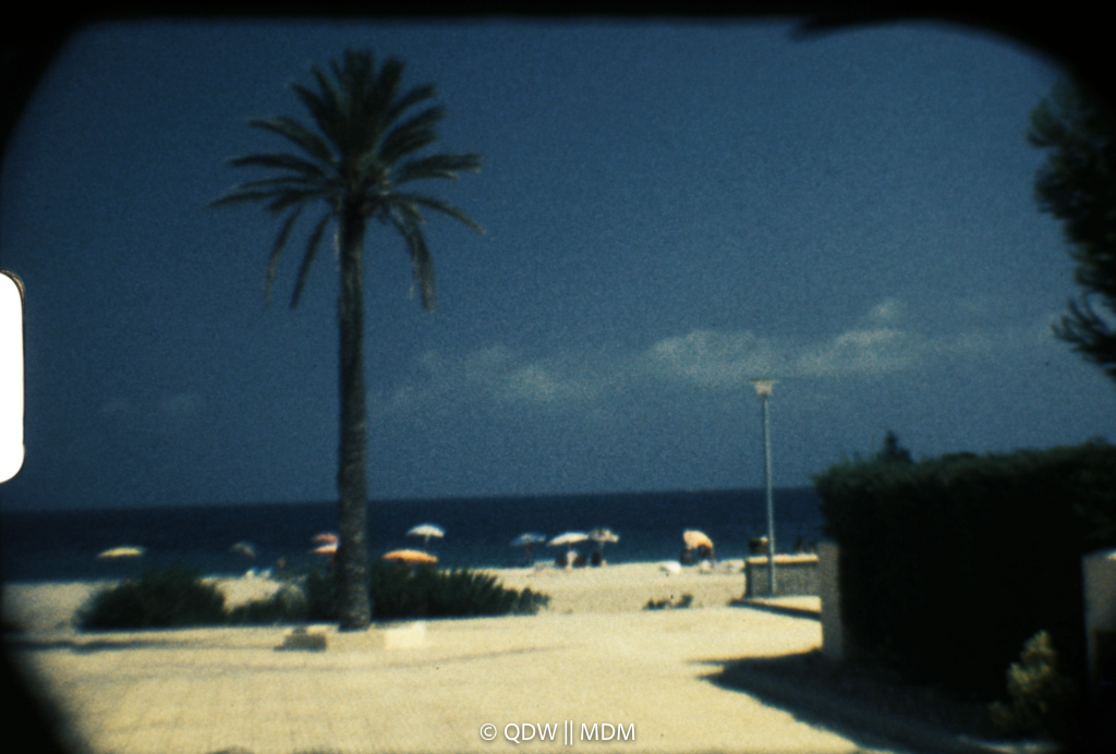 Frame 0157