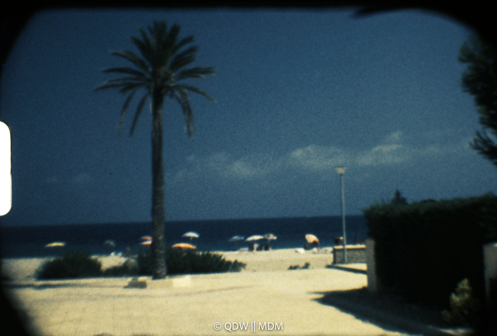 Frame 0163