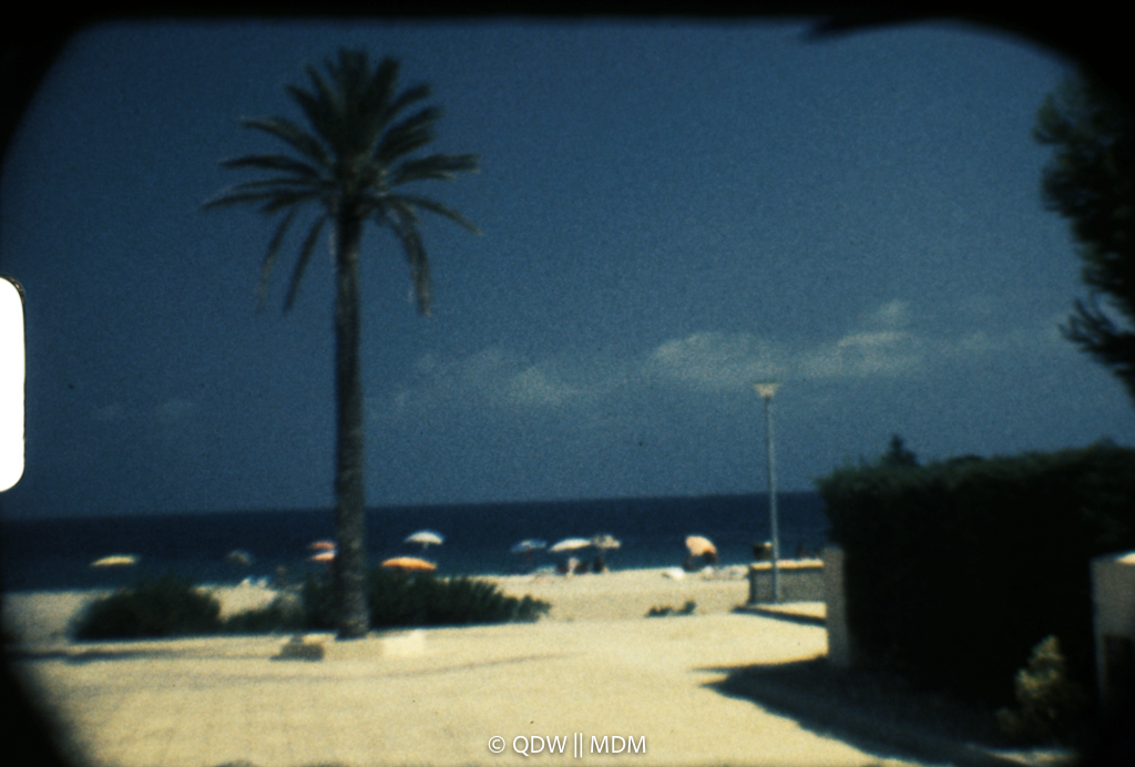 Frame 0164
