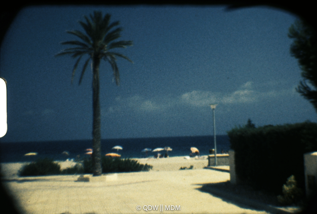Frame 0169