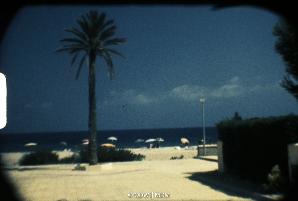 Frame 0171