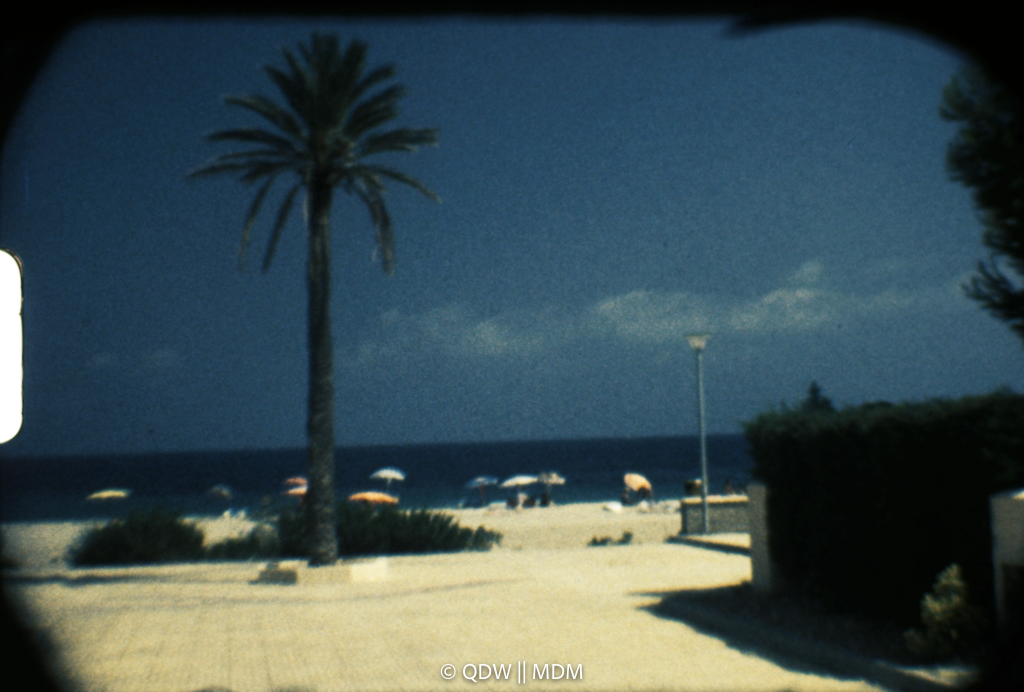 Frame 0175