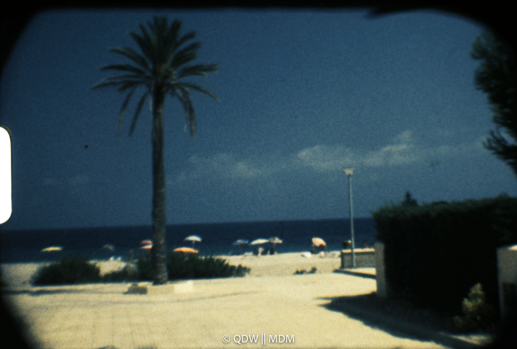 Frame 0177