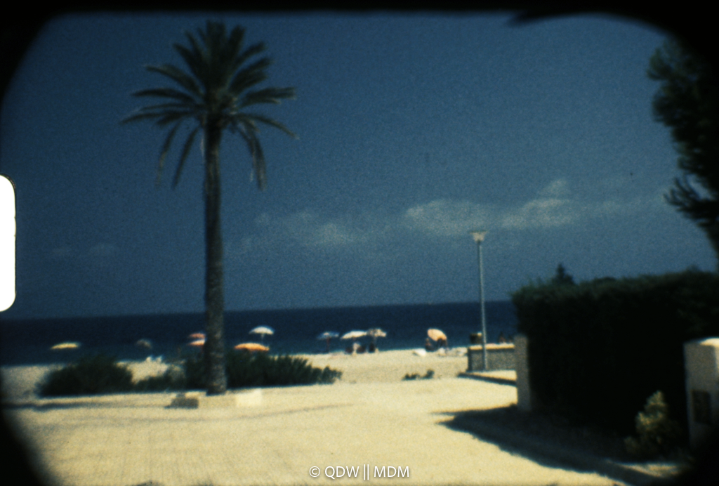 Frame 0184