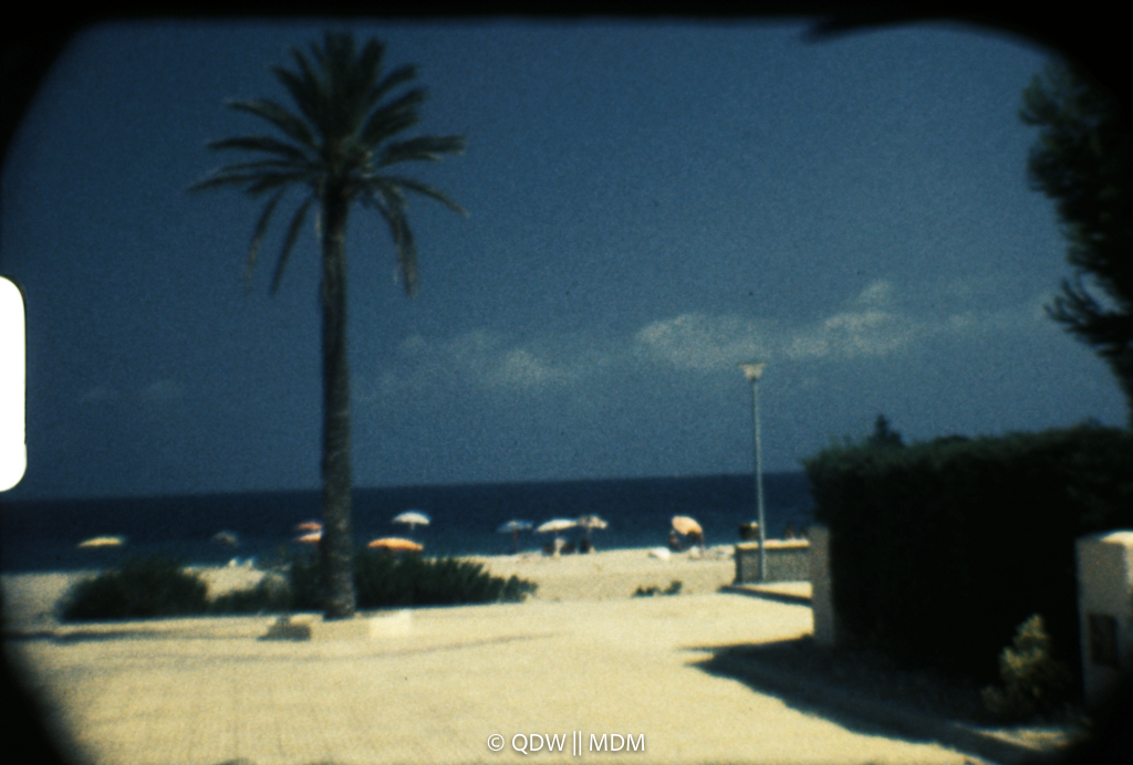 Frame 0186