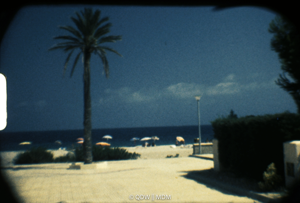 Frame 0188