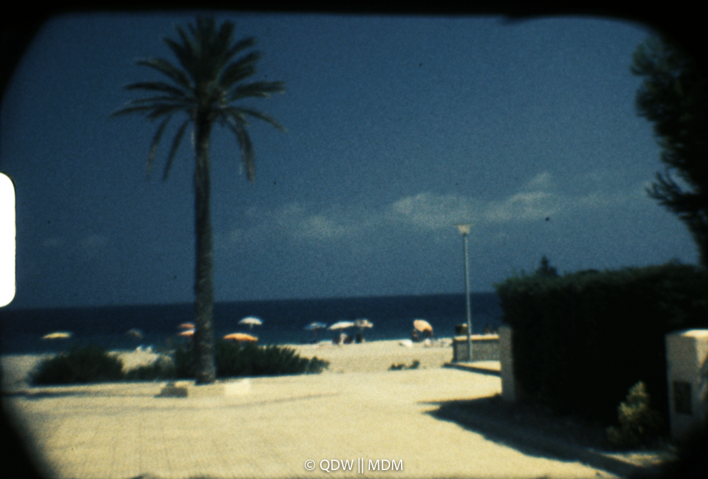 Frame 0189