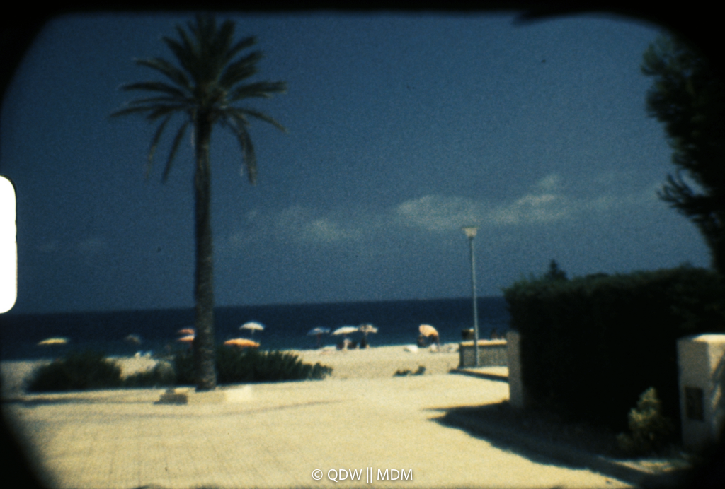 Frame 0191
