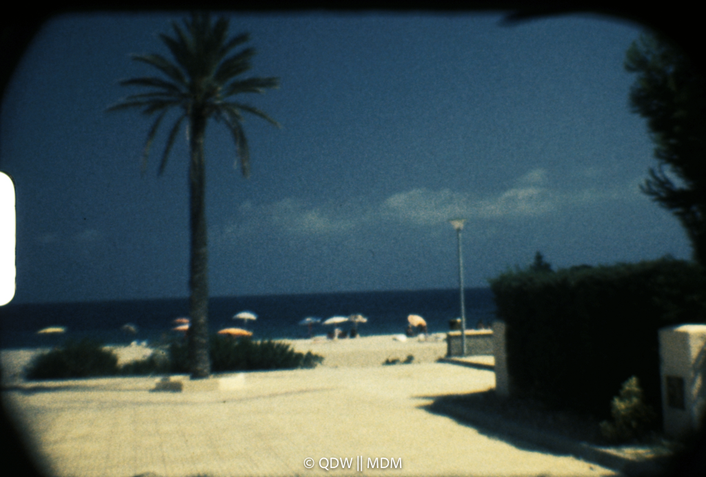 Frame 0193