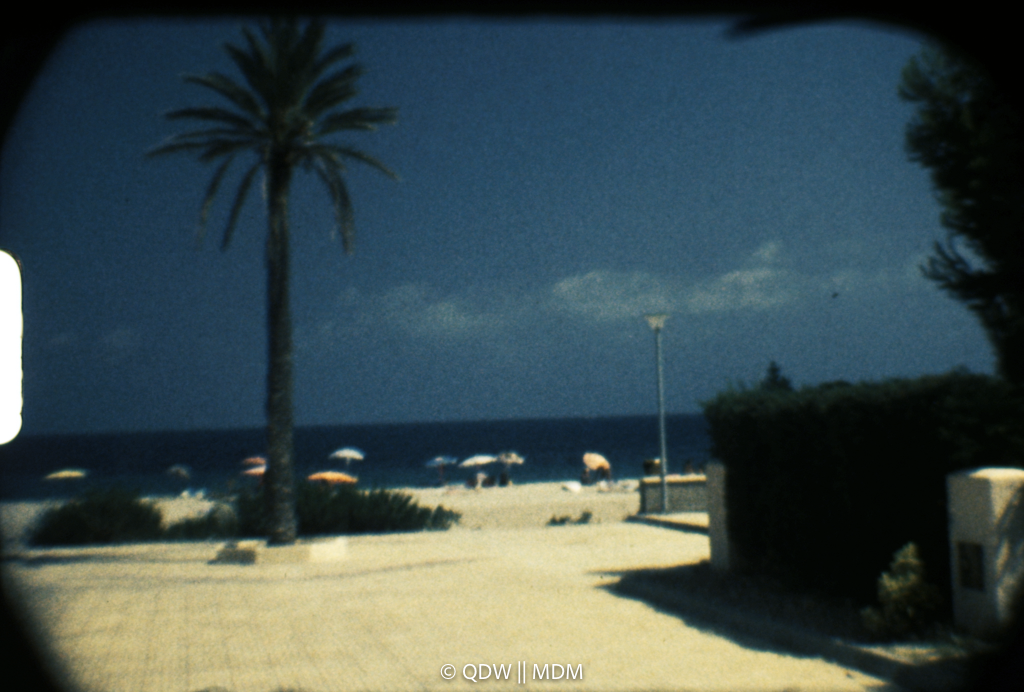 Frame 0196