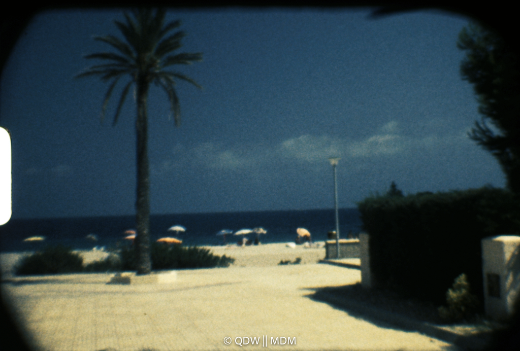 Frame 0197