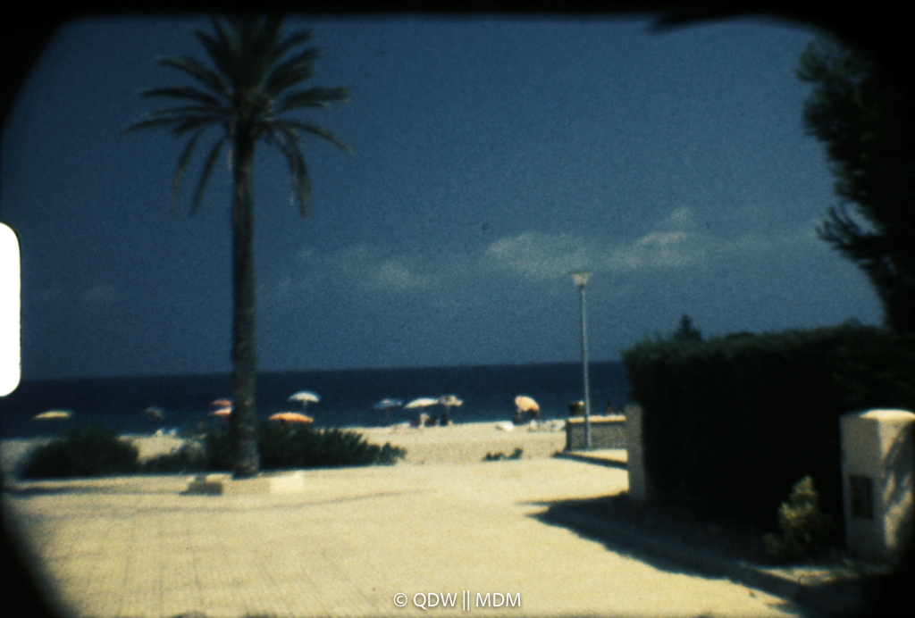 Frame 0201