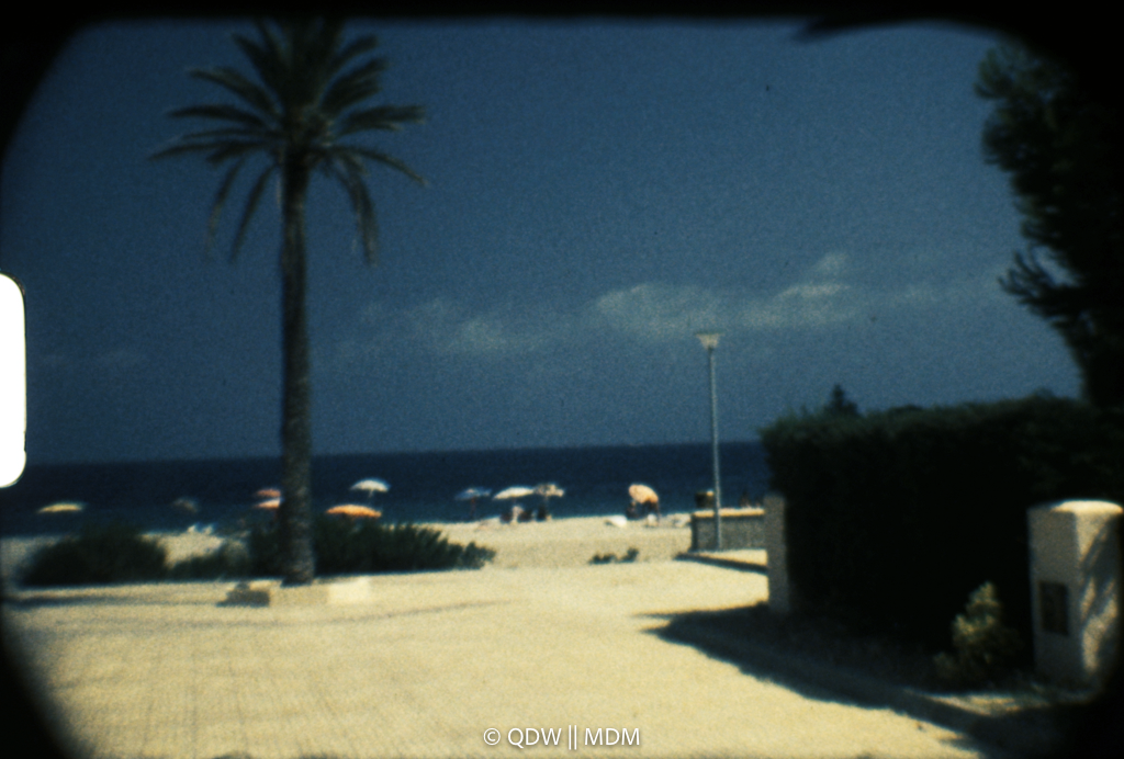 Frame 0203