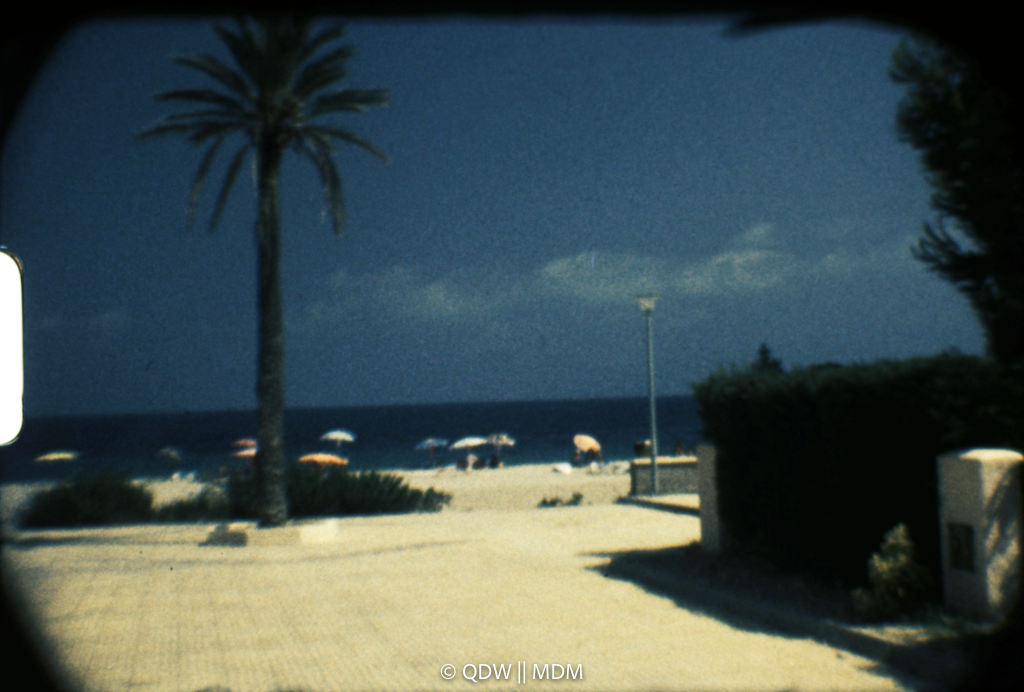 Frame 0207