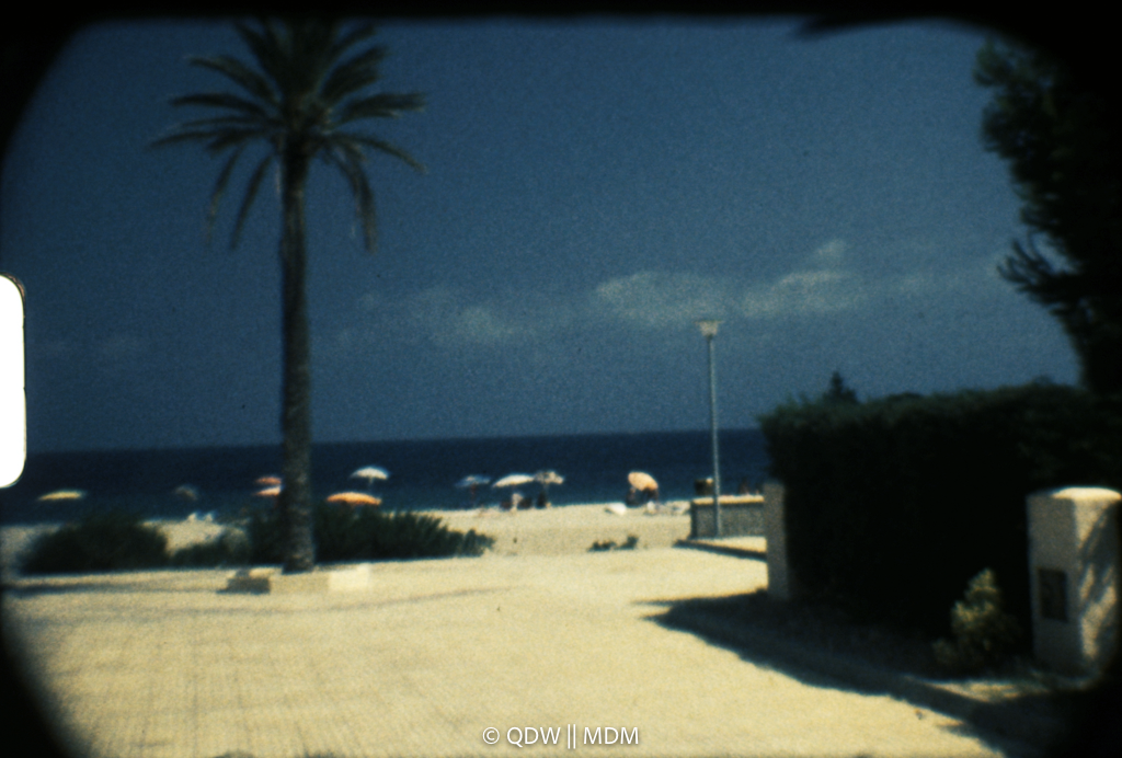 Frame 0209