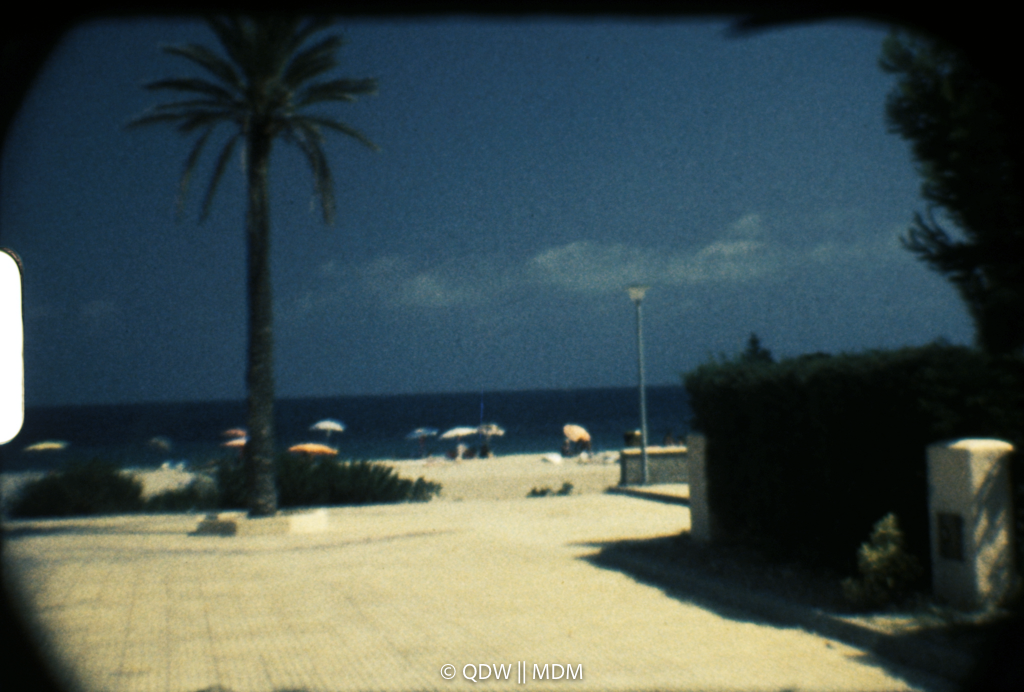 Frame 0212